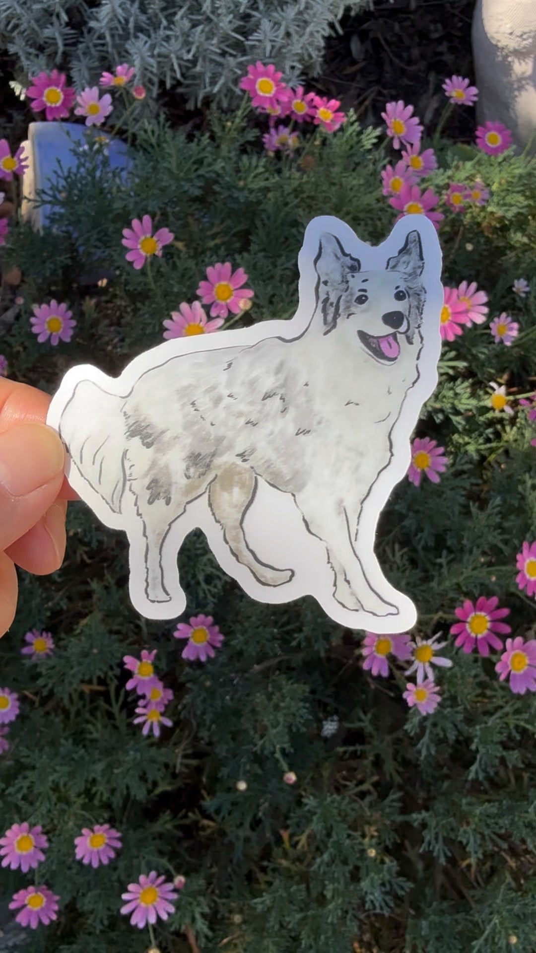 Border Collie Dog - Waterproof Vinyl Sticker, 3.0"