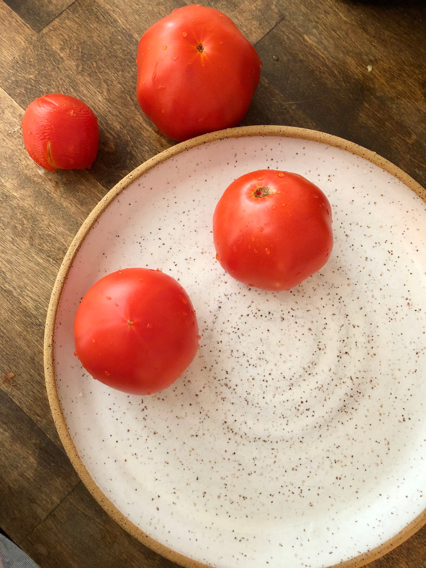 Artisan Speckled Clay Plate with White Glaze - Handcrafted by Moon Pottery
