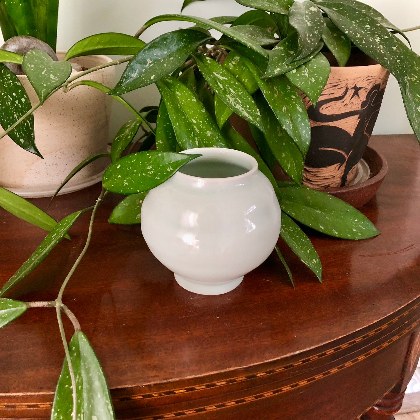 Tiny Moon Jar – Handmade Ceramic Pot by Moon Pottery | Ready-to-Gift with Gift Box