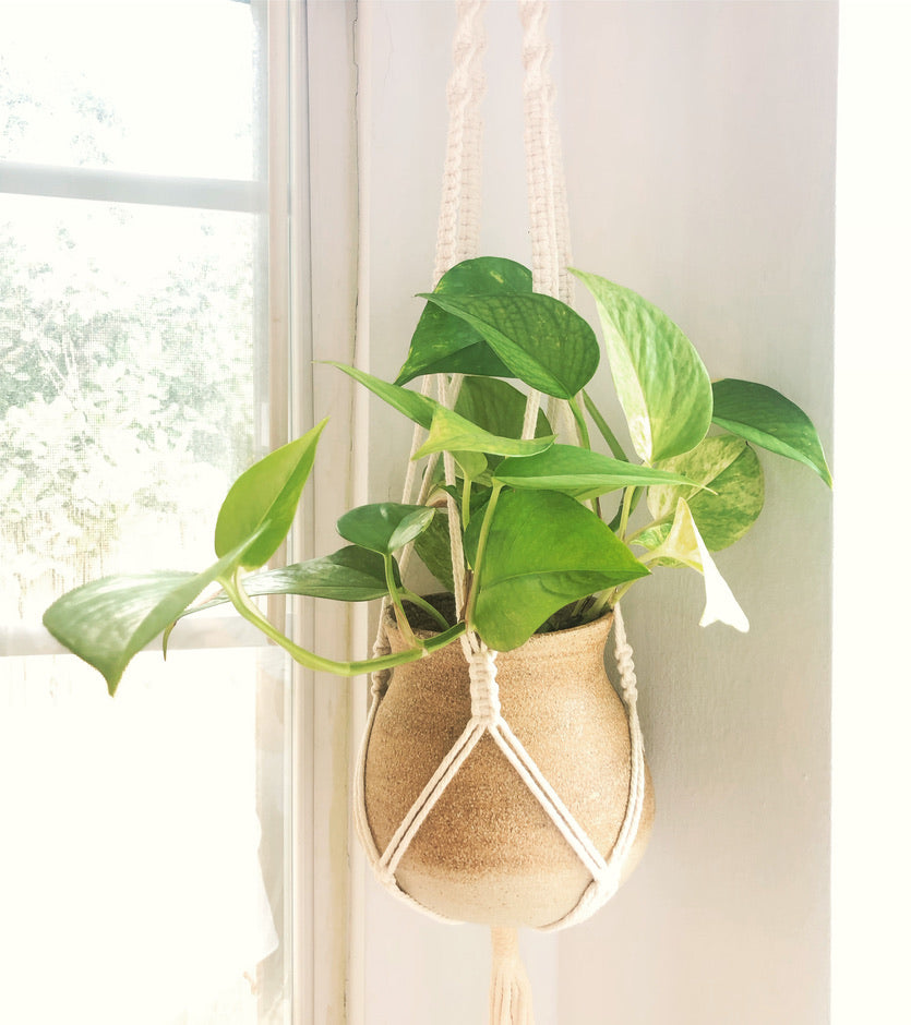 Handmade Pottery with Ash Glaze – Moon Pottery | Naturalist Style, Perfect Gift, Artisan Craft