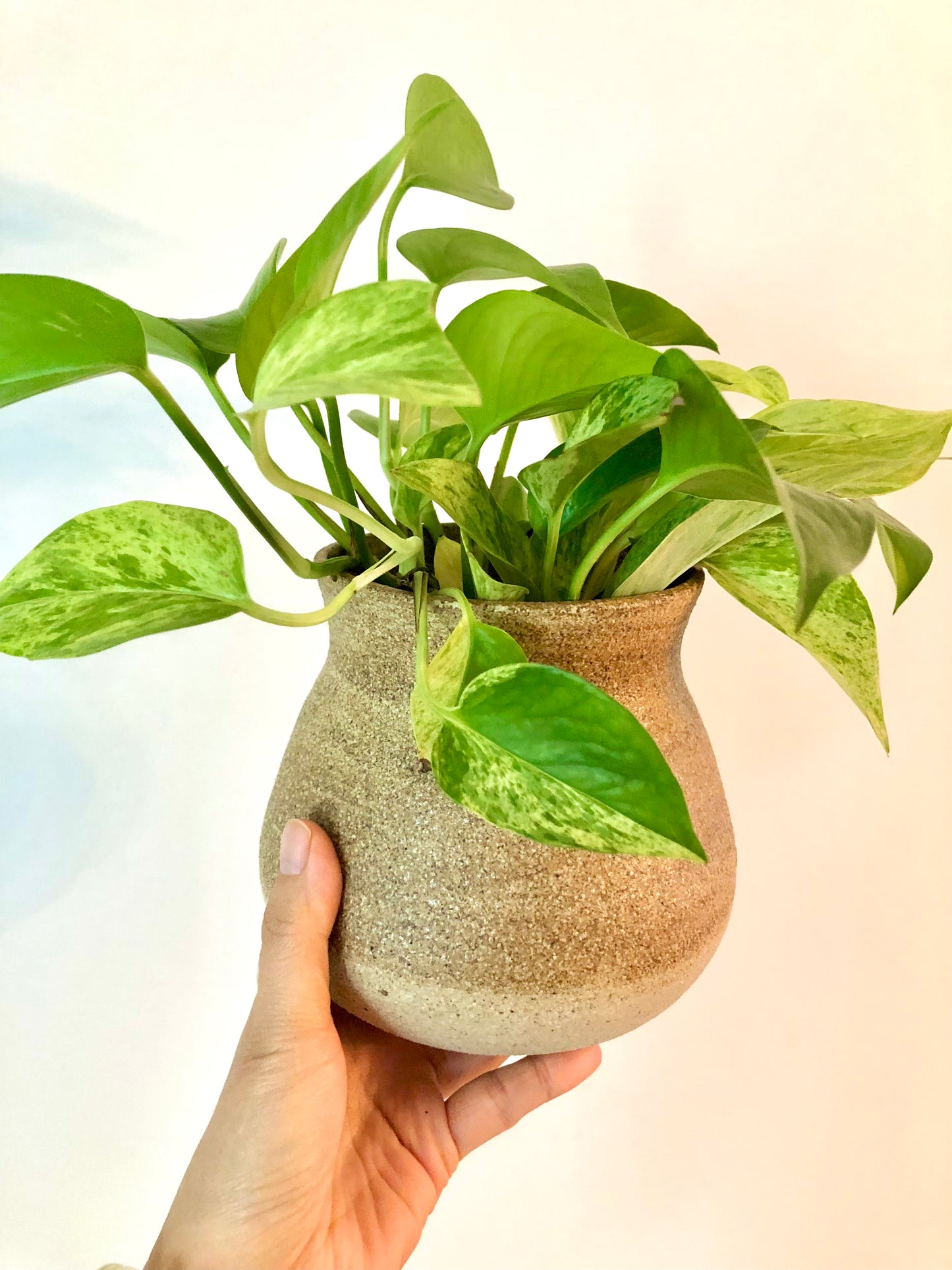 Handmade Pottery with Ash Glaze – Moon Pottery | Naturalist Style, Perfect Gift, Artisan Craft