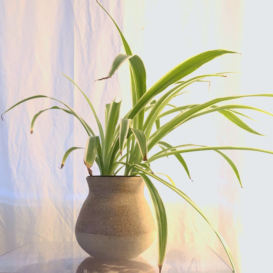 Handmade Pottery with Ash Glaze – Moon Pottery | Naturalist Style, Perfect Gift, Artisan Craft